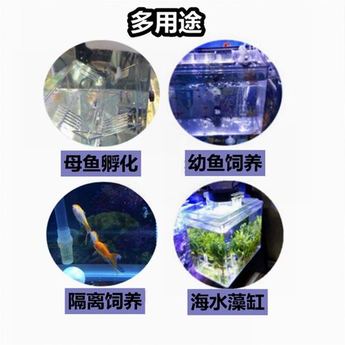 建荣 Dophin BB10 BB11外挂式孵卵器孵化器分离盒 带水泵外挂藻缸