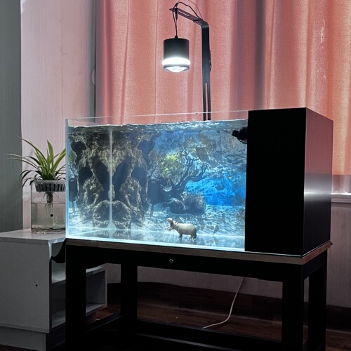 嘉赤80侧滤缸新款自循环一体式溪流客厅家用桌面观赏超白玻璃鱼缸