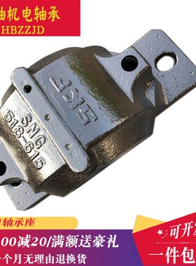 进口瑞典轴承座 轴壳SNG SNH SNU516-613 517 518-615 519-616