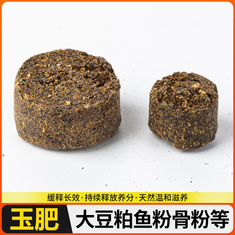 玉肥日本进口玉肥原装盆景有机缓释肥盆栽花肥玉肥盒大粒小粒包邮