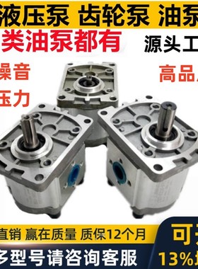 SUORUI齿轮油泵CBN CBT - E F 304 306 310 312 314 316 320 325