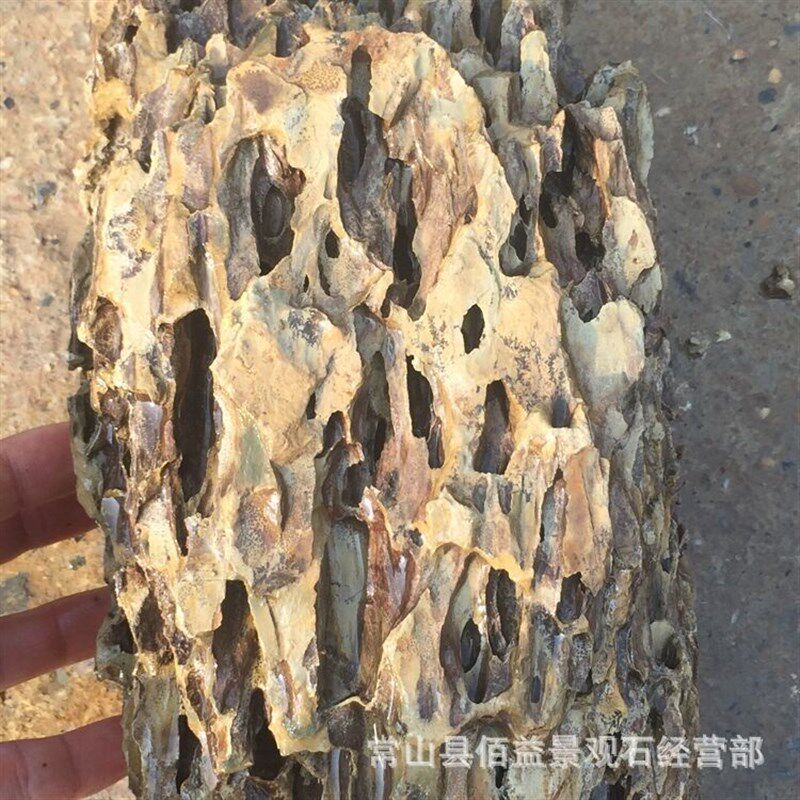水族松皮a石鱼缸造景松皮石松皮石龙骨石