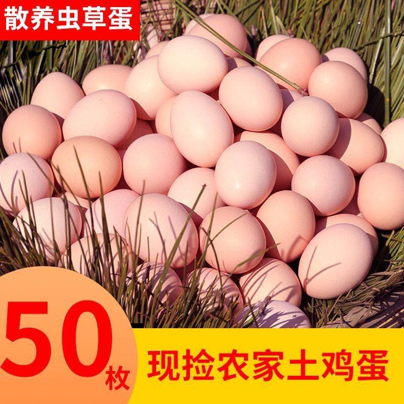 50枚粉壳农家入院土鸡蛋鲜鸡蛋柴鸡蛋散养土鸡蛋正宗农家散养新鲜