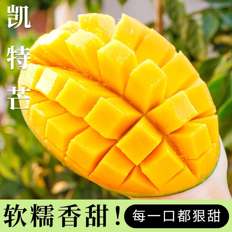正宗凯特芒大芒果高山树上新鲜水果青皮黄肉芒果香甜