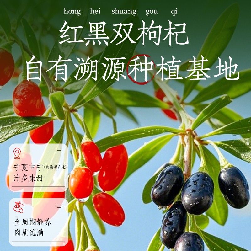 【30瓶装】东方补者 红黑枸杞汁夏季火锅烧烤中年送礼好喝佳节礼