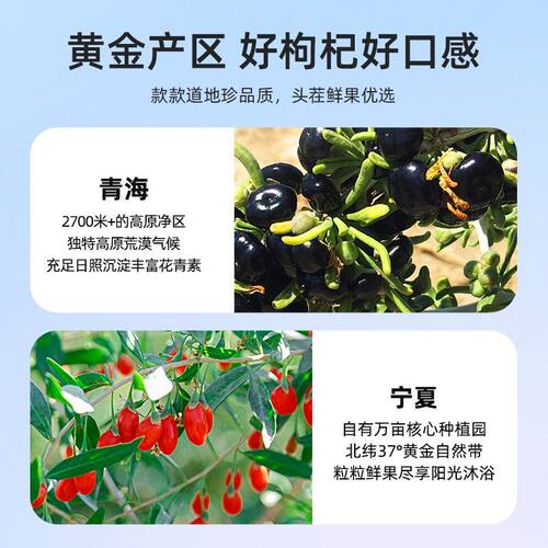 【滋补礼盒】纯耕红黑枸杞原浆组合鲜枸杞原浆科学搭配zb