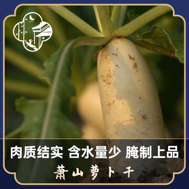 萧山萝卜干非遗认证农家三晒三腌自然风干咸甜适宜干脆爽口200g