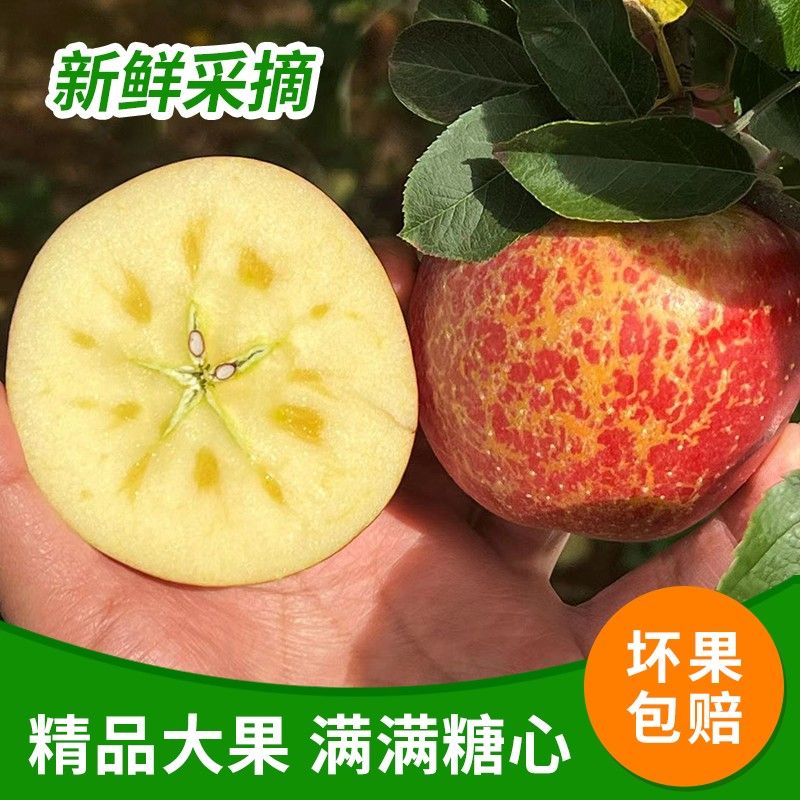 正宗云南昭通苹果新鲜水果脆甜多汁现摘现发丑苹果产地直发整箱