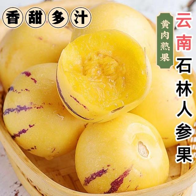 【池雨树上熟人参果】云南石林树熟人参果黄肉圆果清甜新鲜皮薄多