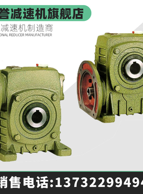 WPDKS蜗轮蜗杆减速机带电机齿轮箱WPDKA减速器变速器小型立式