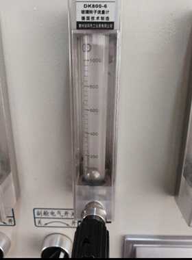 双环DK800-6 02流量计 医院高压氧气舱流量计 100-1000L/H 氧气