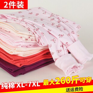 衬裤 中老年人秋裤 妈妈全棉毛线裤 高腰式 女纯棉内穿宽松加肥加大码