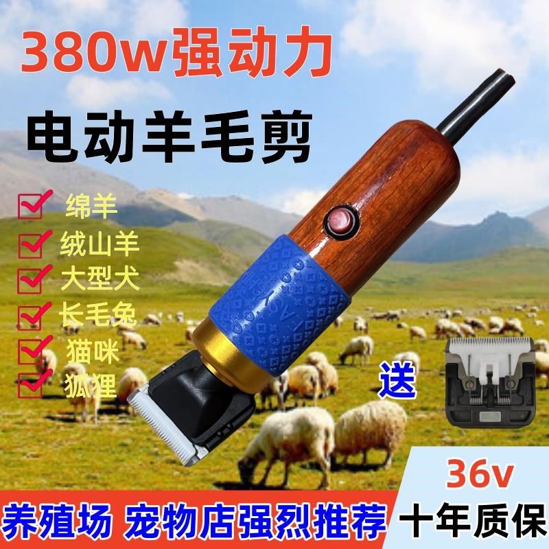 德国进口大功率380W宠物电推剪长毛兔羊毛专用剪毛电推子电动剪狗,饰品/流行首饰/时尚饰品新,链条,淘宝优惠券,粉丝福利购,淘宝优惠卷