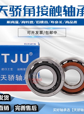 轴承 7303 7304 7305 7306 7307 7308 7309BEP/BECBP