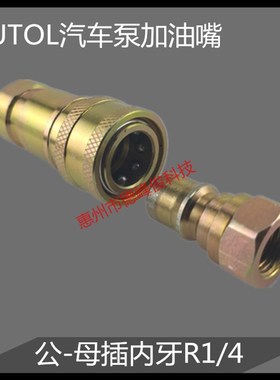 AUTOL车载泵加油嘴转换头快速接头 自锁式快插快装快换内2分牙