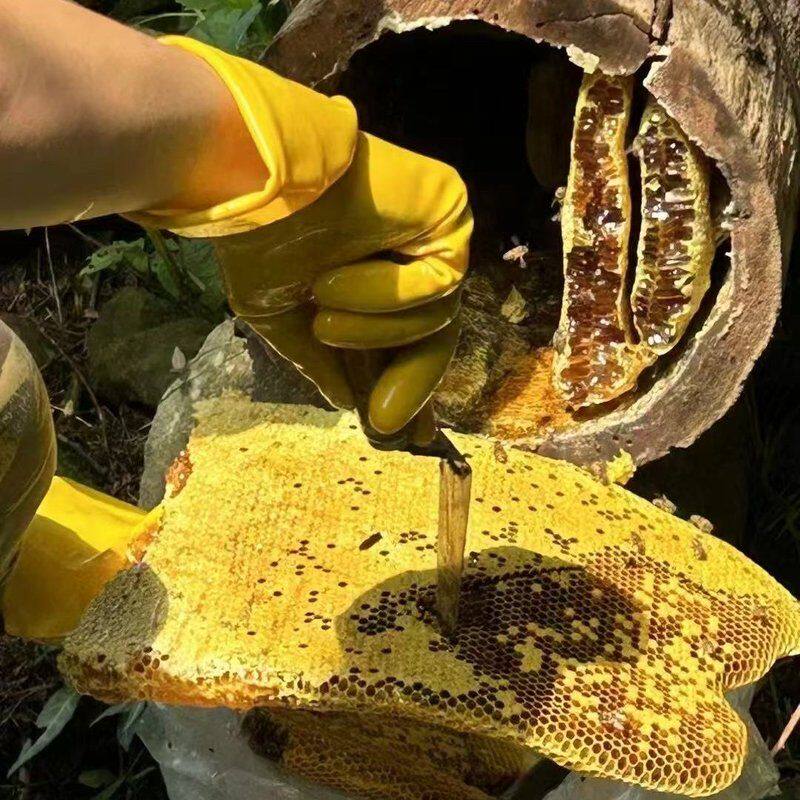 【新人价】深山农家天然纯正百花土蜂蜜自产自销【玻璃瓶装】
