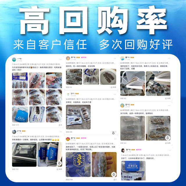海参参阿婆鲜蒸海参即食海刺参买20送10头新鲜海参加工ZB