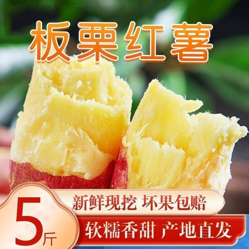 陕西沙地红薯地瓜正宗:自带板栗香,粉糯无丝,香甜直戳心巴