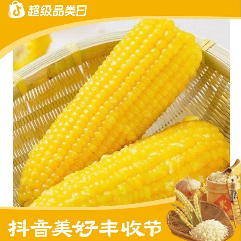 【整箱8-9斤15棒含5棒试吃】26年头茬东北真空黄玉米240-300克