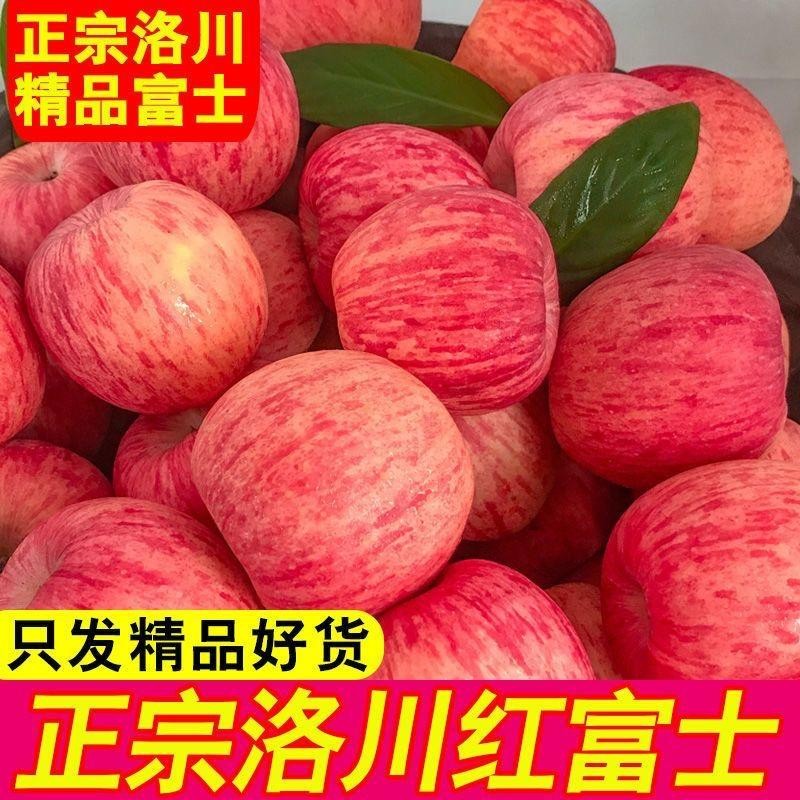陕西 洛川 红富士苹果 脆甜多汁 头茬新鲜 直接带皮吃 产地直发PG