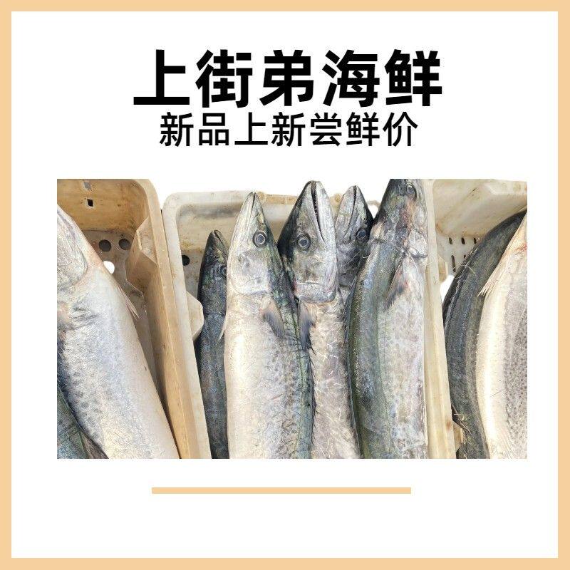 【马鲛鱼】上街弟推荐新鲜海捕马鲛鱼包鲜到家 福州发货深海