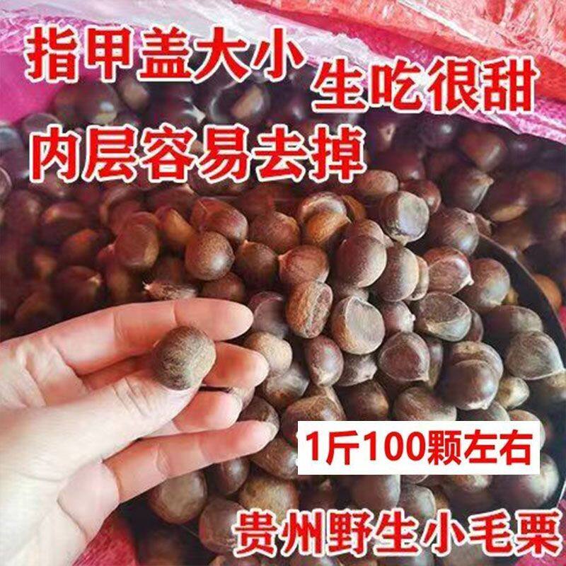 【小板栗】贵州板栗新鲜板栗生圆栗油栗毛栗子生尖毛栗当季
