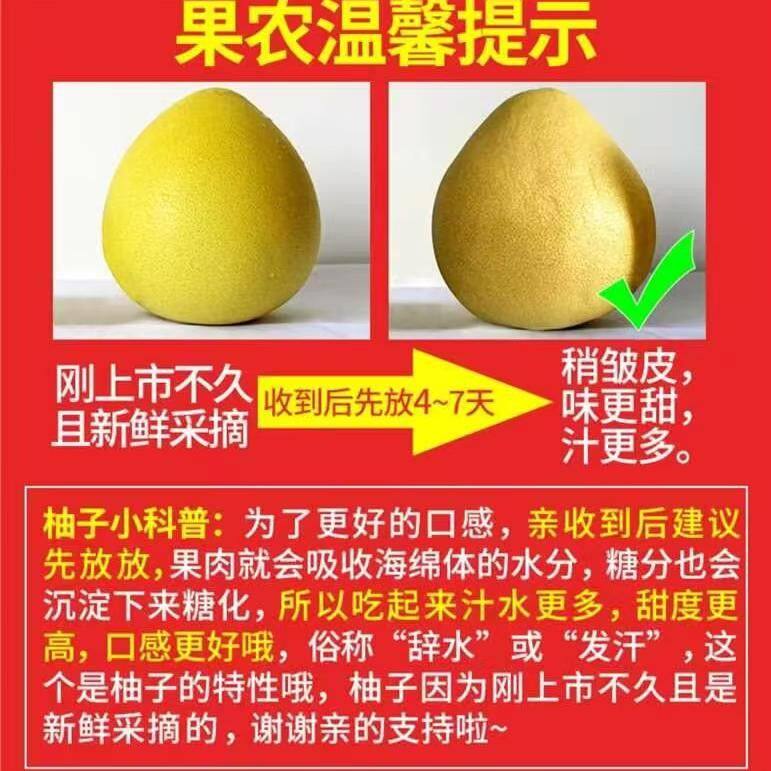 福建平和柚子三红柚琯溪红心蜜柚大柚子当季水果时令水果新鲜产地