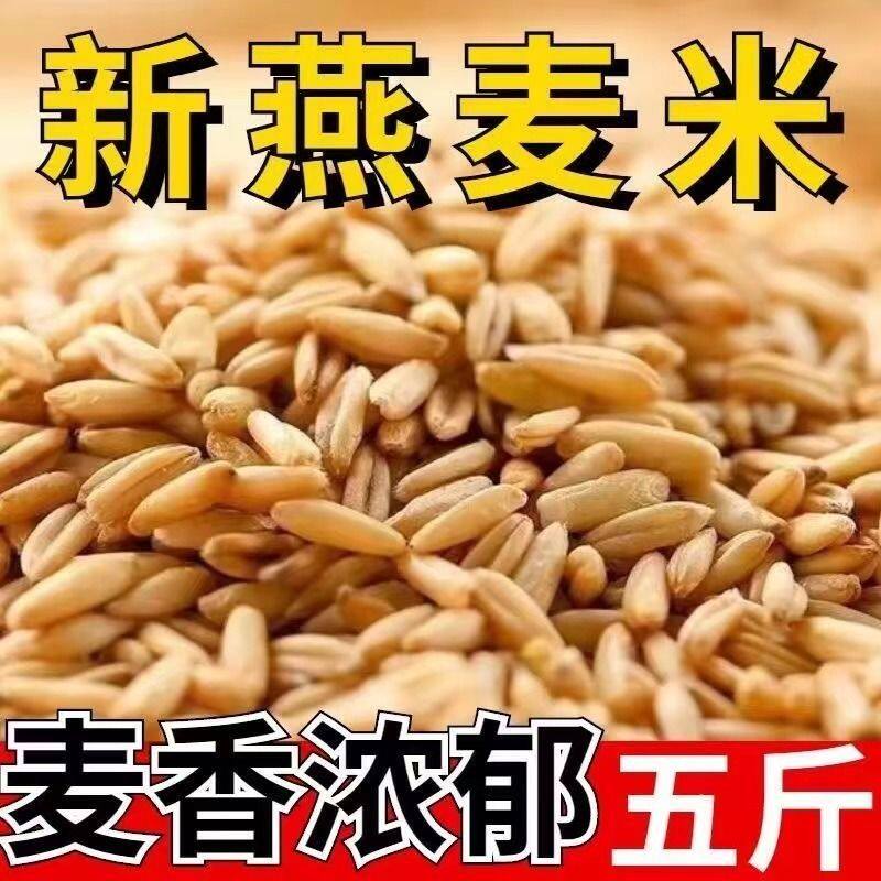 【买3斤送2斤】东北胚芽燕麦米低脂低糖新米饱腹轻食杂粮试吃2斤