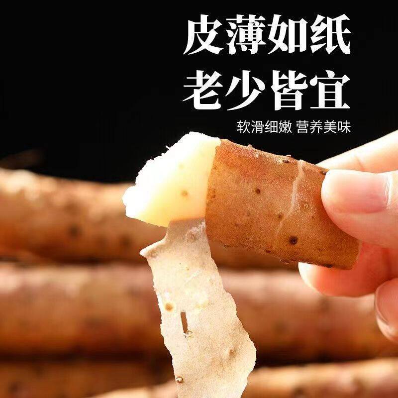 【小玉一家人专属】产地直发河北小白嘴铁棍淮山药新鲜5斤带土发