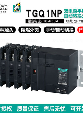 天正电气双电源转换器TGQ1NP-125A250A400A800A PC级双电源开关