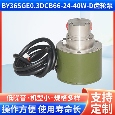 BY36SGE0.3DCB66-24-40W-D齿轮泵磁力驱动不锈钢喷码齿轮泵电磁