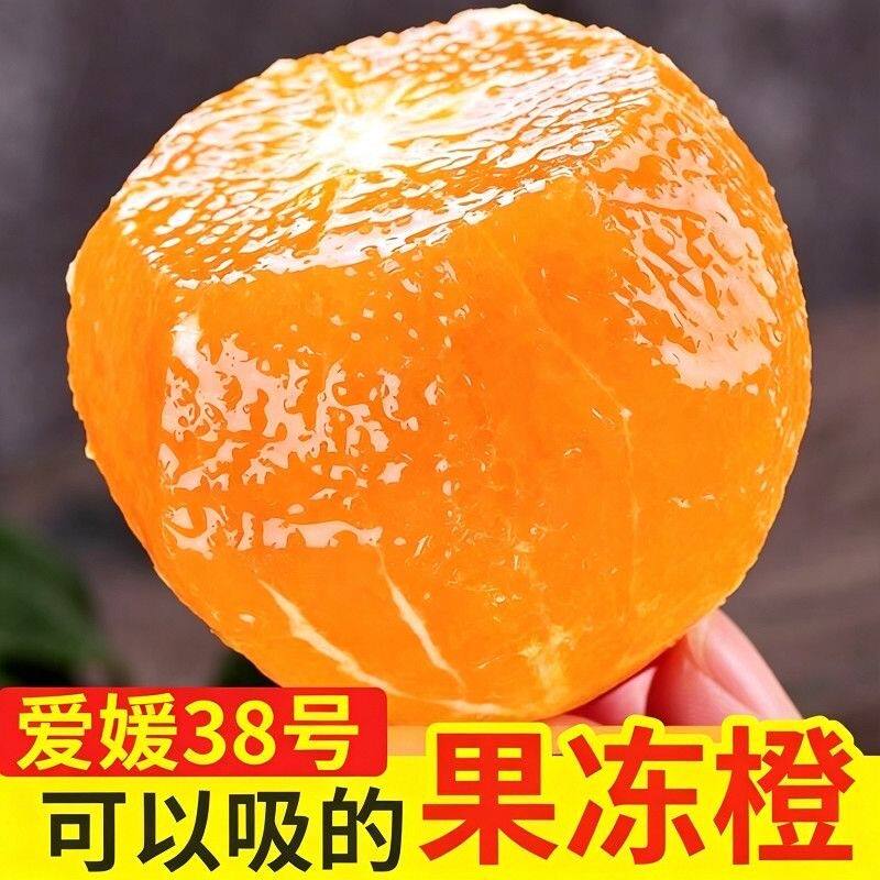 【礼盒+泡沫托】正宗新鲜爱媛果冻橙爆汁薄皮手剥当季甜橙水果