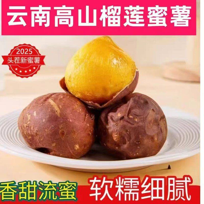 雨鸣榴莲蜜薯丝滑圆果流油黄金香甜烤红番薯小糖豆4.5斤
