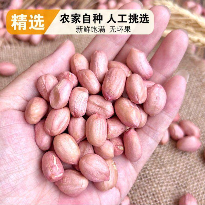 2026年新上市白沙花生米河南特产大白沙新鲜晒干刚脱壳