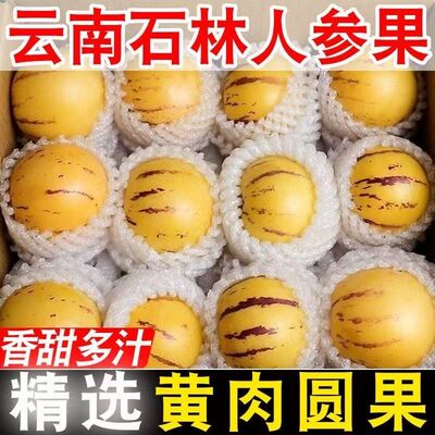 【仙果说】云南石林人参果黄心黄肉清甜多汁新鲜当季低糖水果