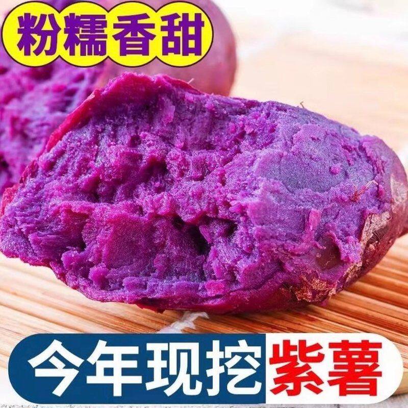 红安苕[绿色食品认证]沙地紫罗兰紫薯软糯香甜粗粮番薯红薯地瓜蜜