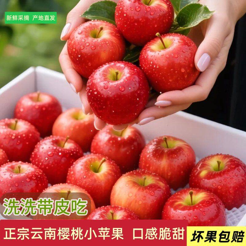 (2026樱桃小苹果】现摘云南昭通高原脆甜丑苹果产地直发红富士苹