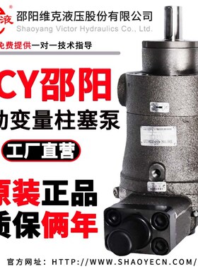邵阳维克液压轴向柱塞泵SY-10/25/32/40/63/80/100/125YCY14-1E/B
