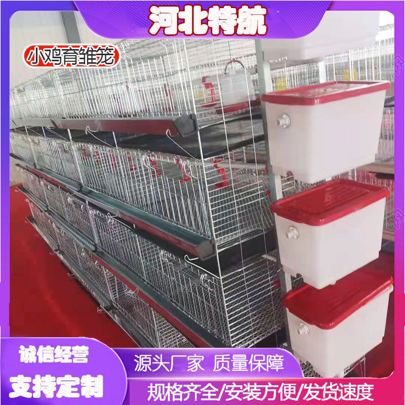 小鸡笼子a育雏笼子小点蛋鸡笼加密加粗防跑养殖笼四层立体养鸡设