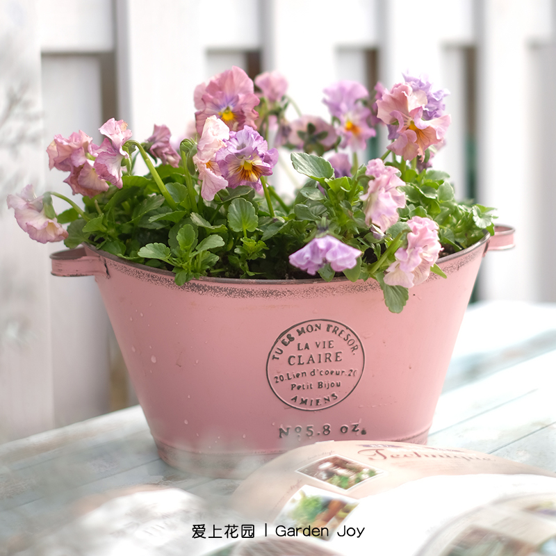 爱上花园 铁艺做旧铁皮花盆花盒 椭圆平耳圆印章月亮元宝盆NO5.8