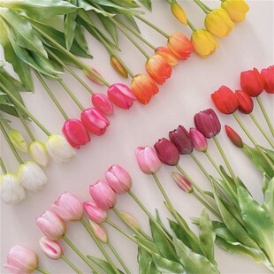 韩国ins装饰假花软胶郁金香花束手捧花仿真花春日野餐摆拍道具