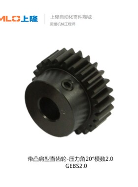 上隆带凸肩型直齿轮-压力角20模数2.0 GEBS2.0-12-B20-P8