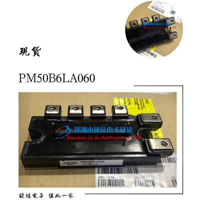 PM50B6LA060 PM50B6L1C060 PM50B6LB060 PM75B6LA060 100B6LA060