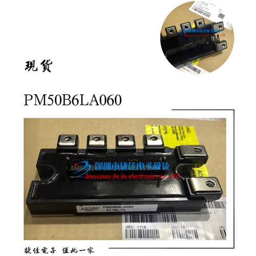 PM50B6LA060 PM50B6L1C060 PM50B6LB060 PM75B6LA060 100B6LA060