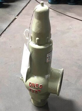 A22W-40C/P全启式铸钢/不锈钢/氧气安全阀DA22W-40P低温安全阀