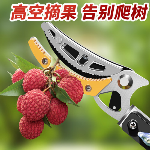 摘水果神器摘果枇杷高枝剪伸缩杆采摘高空树枝专用剪刀果子荔枝采