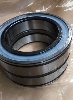 INA德国进口满装滚子轴承SL04 5016 5017 5018 5019 5020 5022 PP