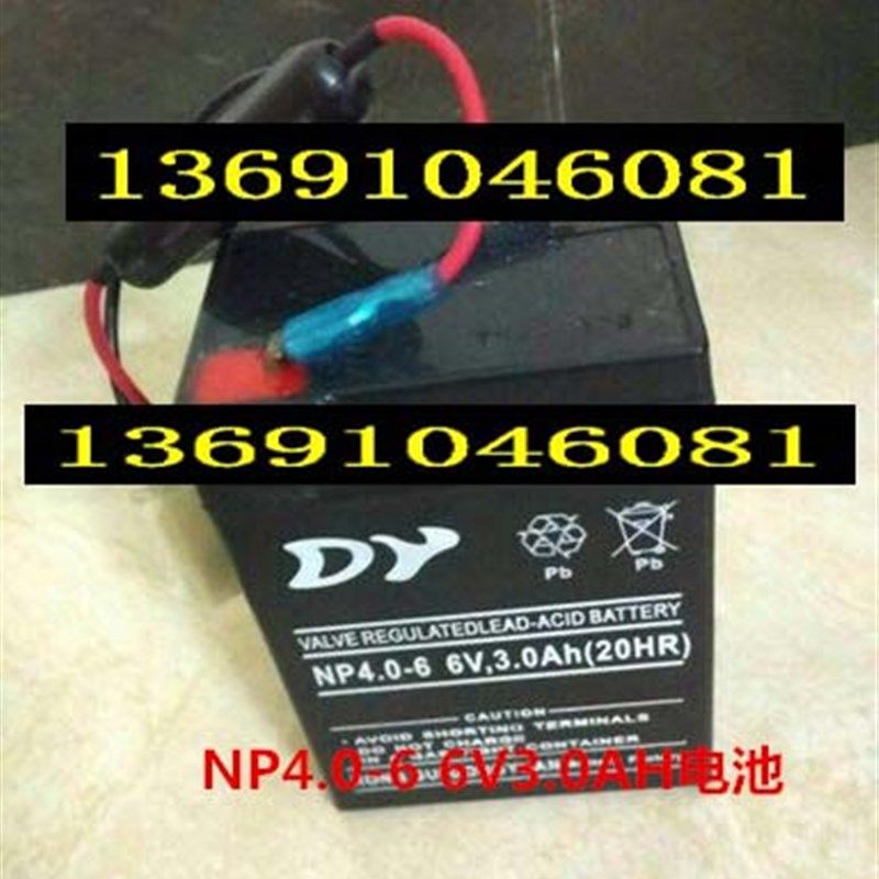 DY NP4.0-6 6V,3.0Ah(20HR玩具车电池 照明电源 小孩子电动车电池
