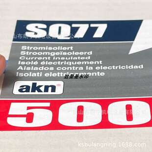 SQ77轴承 德国AKN防爆电机绝缘NJ2317E.B.MA6.C3.SQ52 6224M