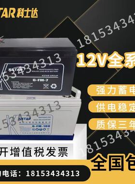 科士达铅酸蓄电池6-FM免维护12V24/38/65/100/150/200UPS机房通讯